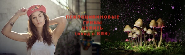 соль ск Зеленокумск