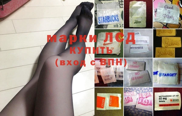 эйфоретик Инта