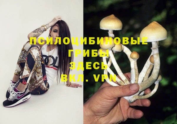 таблы Зеленодольск