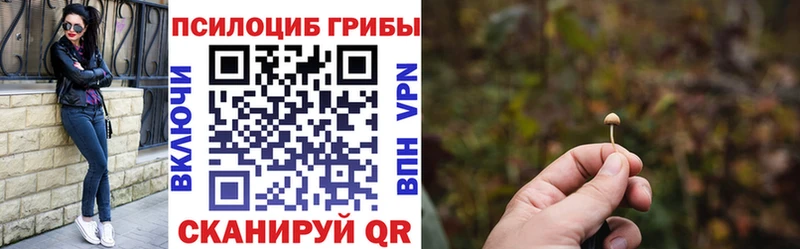 Галлюциногенные грибы мицелий  Кинель 
