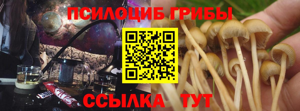 Псилоцибиновые грибы Magic Shrooms  Псилоцибиновые грибы Magic Shrooms  Кинель  Вход с VPN 