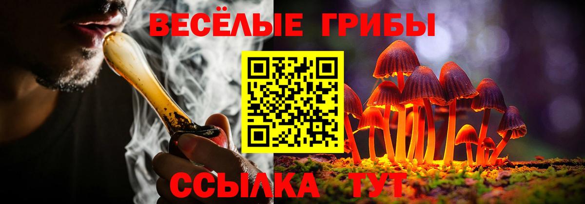 Галлюциногенные грибы прущие грибы Кинель